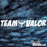 Pokemon Team Valor windshield