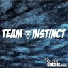 Pokemon Team Instinct windshield decal